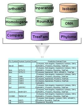 DIOPT integration schema