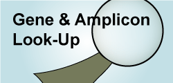Search for Genes and Amplicons