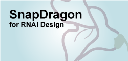 Snapdragon dsRNA Design from Sequence