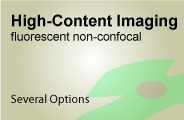High-Content Imaging