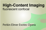High-Content Imaging (Confocal)