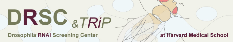 Drosophila RNAi Screening Center