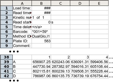 File Format Example (Excel version)