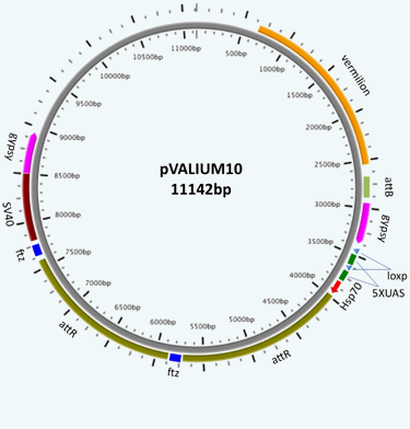 Valium10