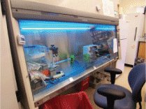 Tissue Culture Hood
