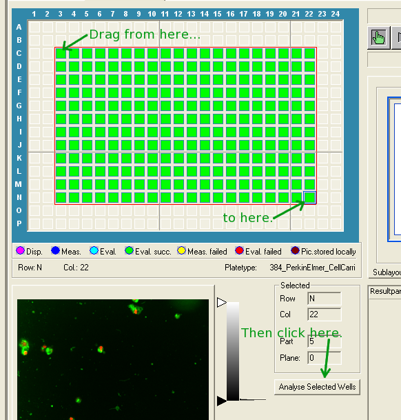 Select wells from top-right to bottom-left.
