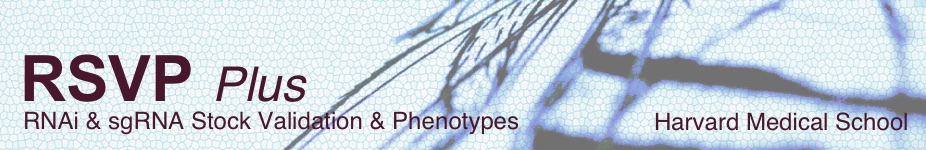 RNAi Stock Validation & Phenotypes