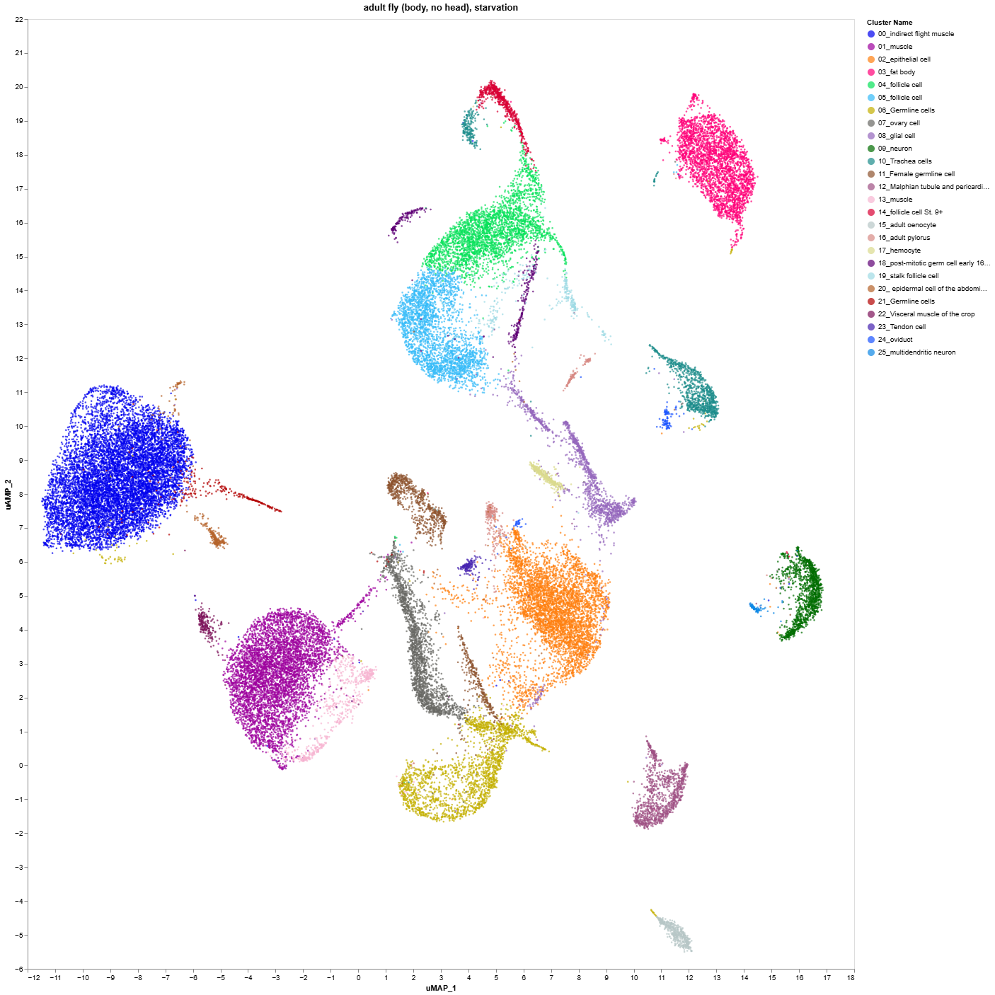 Single Cell Data, Tumor Cytokine-Induced Hepatic Gluconeogenesis Contributes to Cancer Cachexia 