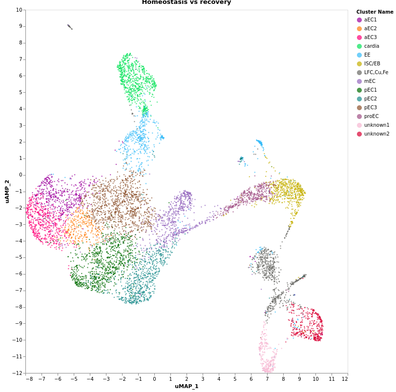 umap plot