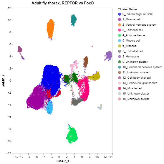 umap plot