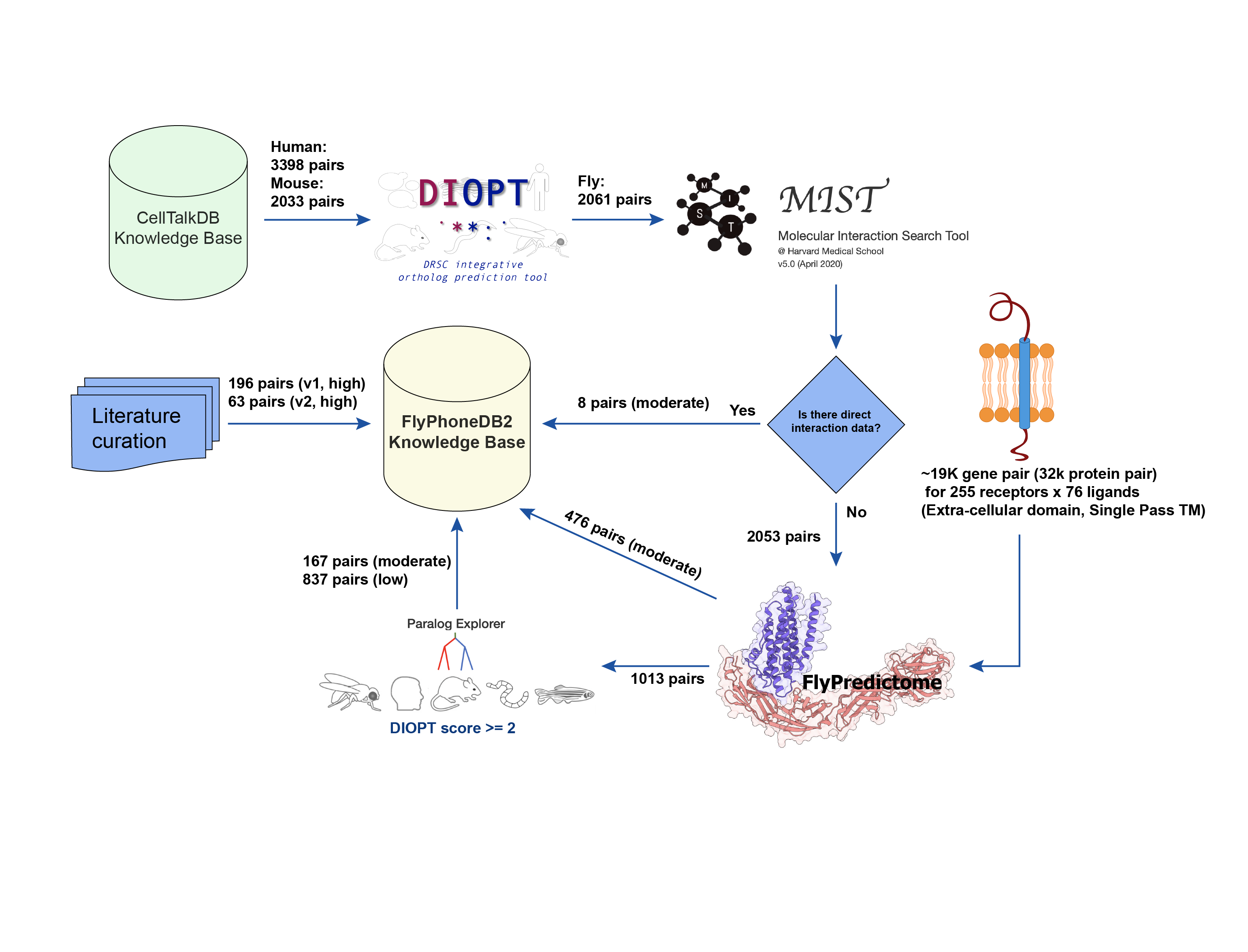 Database Diagram