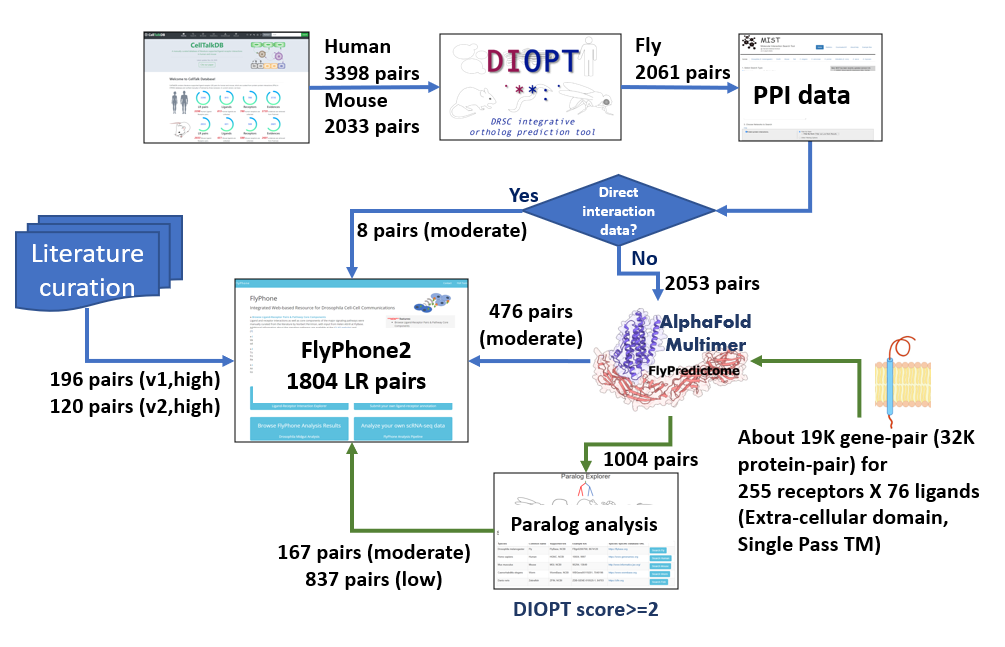 Database Diagram